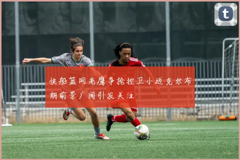 快船篮网老鹰争抢控卫小迈克尔布朗前景广阔引发关注